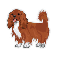 Ruby Cavalier King Charles Spaniel Kiss-Cut Stickers, 4 Sizes, White or Transparent, Indoor Use, Not Waterproof, FREE Shipping, Made in the USA!!