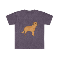 Chesapeake Bay Retriever Unisex Softstyle T-Shirt, S - 3XL, 8 Colors, Ring Spun Cotton, Light Fabric, FREE Shipping, Made in USA!!