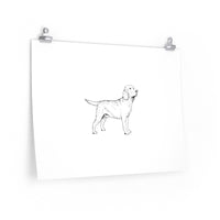 Labrador Retriever Posters