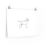 Labrador Retriever Posters