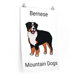 Bernese Mountain Dog Premium Matte vertical posters