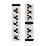 Bernese Mountain Dog Sublimation Socks