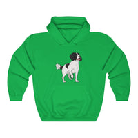 English Springer Spaniel Unisex Heavy Blend™ Hooded Sweatshirt, S - 5XL, 13 Colors, Made in the USA!!