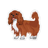 Ruby Cavalier King Charles Spaniel Die-Cut Stickers, 5 Sizes, Water Resistant Vinyl, Indoor/Outdoor, Matte Finish, FREE Shipping, Made in USA!!