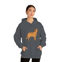 Chesapeake Bay Retriever Unisex Heavy Blend Hooded Sweatshirt, S - 5XL, 12 Colors, Cotton/Polyester, FREE Shipping, Made in Usa!!