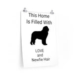 Newfoundland Premium Matte vertical posters, 7 Sizes, Fine Art Paper, Matte Finish, Indoor Use, FREE Shipping, Made in USA!!