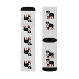 Bernese Mountain Dog Sublimation Socks