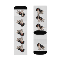 Tricolor Cavalier King Charles Spaniel Sublimation Socks
