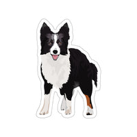 Border Collie Kiss-Cut Stickers, White or Transparent, 4 Sizes, Indoor, Not Waterproof, FREE Shipping, Made in USA!!