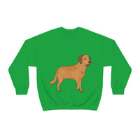 Chesapeake Bay Retriever Unisex Heavy Blend Crewneck Sweatshirt, 6 Colors, S - 3XL, Cotton/Polyester, FREE Shipping, Made in USA!!