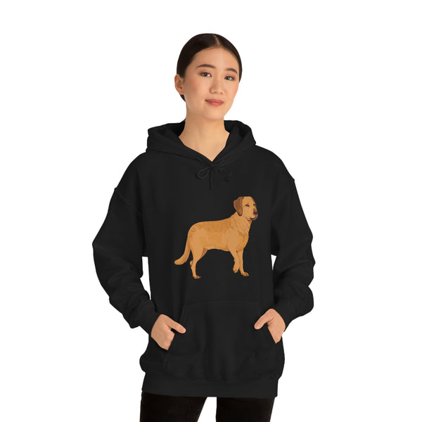 Chesapeake Bay Retriever Unisex Heavy Blend Hooded Sweatshirt, S - 5XL, 12 Colors, Cotton/Polyester, FREE Shipping, Made in Usa!!
