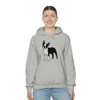 Boston Terrier Unisex Heavy Blend™ Hooded Sweatshirt, S - 5XL, 12 Colors, Cotton/Polyester, FREE Shipping, Made in USA!!