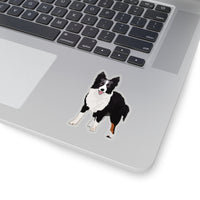 Border Collie Kiss-Cut Stickers, White or Transparent, 4 Sizes, Indoor, Not Waterproof, FREE Shipping, Made in USA!!