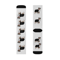 Australian Shepherd Sublimation Socks, 3 Sizes, 60% Polyester, Ribbed Tube, Cushioned Bottoms, FREE Shipping, Made in USA!!