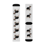 Australian Shepherd Sublimation Socks, 3 Sizes, 60% Polyester, Ribbed Tube, Cushioned Bottoms, FREE Shipping, Made in USA!!