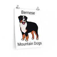 Bernese Mountain Dog Premium Matte vertical posters