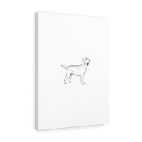 Labrador Retriever Stretched canvas