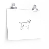 Labrador Retriever Posters