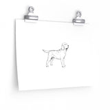 Labrador Retriever Posters