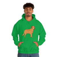 Chesapeake Bay Retriever Unisex Heavy Blend Hooded Sweatshirt, S - 5XL, 12 Colors, Cotton/Polyester, FREE Shipping, Made in Usa!!