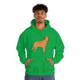 Chesapeake Bay Retriever Unisex Heavy Blend Hooded Sweatshirt, S - 5XL, 12 Colors, Cotton/Polyester, FREE Shipping, Made in Usa!!