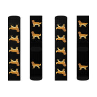Golden Retriever Sublimation Socks, 3 Sizes, Polyester/Spandex, Ribbed Tube, Cushioned Bottoms, FREE Shipping, Made in USA!!