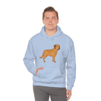 Chesapeake Bay Retriever Unisex Heavy Blend Hooded Sweatshirt, S - 5XL, 12 Colors, Cotton/Polyester, FREE Shipping, Made in Usa!!