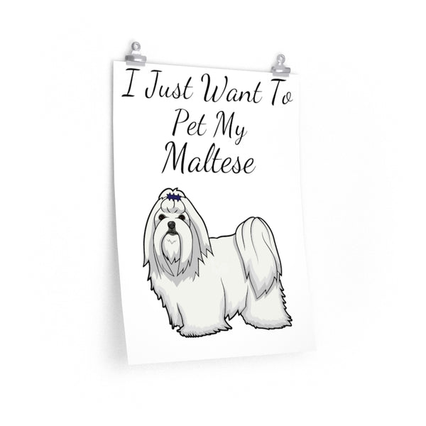 Maltese Premium Matte Vertical Posters, 7 Different Sizes, Customizable, Fine Art Paper, Matte Finish, Indoor Use, FREE Shipping!!