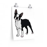 Boston Terrier Premium Matte vertical posters