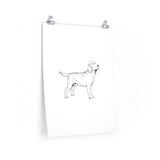 Labrador Retriever Premium Matte vertical posters