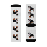 Bernese Mountain Dog Sublimation Socks