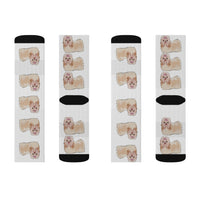 Havanese Sublimation Socks