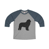 Newfoundland Unisex Tri-Blend 3/4 Raglan Tee