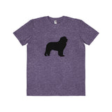 Newfoundland Men's Lightweight Fashion Tee