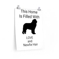 Newfoundland Premium Matte vertical posters, 7 Sizes, Fine Art Paper, Matte Finish, Indoor Use, FREE Shipping, Made in USA!!