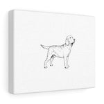 Labrador Retriever Canvas Gallery Wraps