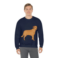Chesapeake Bay Retriever Unisex Heavy Blend Crewneck Sweatshirt, 6 Colors, S - 3XL, Cotton/Polyester, FREE Shipping, Made in USA!!