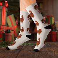 Ruby Cavalier King Charles Spaniel Sublimation Socks, 3 Sizes, Polyester/Spandex, FREE Shipping, Made in USA!!