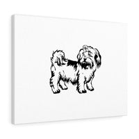 Shih Tzu Canvas Gallery Wraps