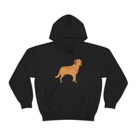 Chesapeake Bay Retriever Unisex Heavy Blend Hooded Sweatshirt, S - 5XL, 12 Colors, Cotton/Polyester, FREE Shipping, Made in Usa!!