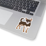 Chihuahua Kiss-Cut Stickers, White/Transparent Background, 4 Sizes, Indoor Use, Not Waterproof, FREE Shipping, Made in USA!!