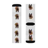 Belgian Malinois Sublimation Socks, long socks, small, medium, large, Made in the USA!!