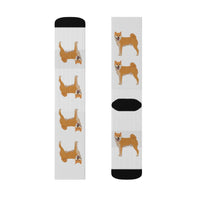 Shiba Inu Sublimation Socks, 3 Sizes, Polyester/Spandex, FREE  Shipping, Made in USA!!