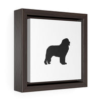 Newfoundland Square Framed Premium Gallery Wrap Canvas