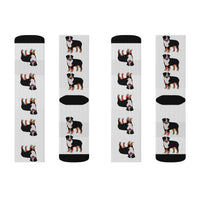 Bernese Mountain Dog Sublimation Socks