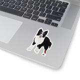 Border Collie Kiss-Cut Stickers, White or Transparent, 4 Sizes, Indoor, Not Waterproof, FREE Shipping, Made in USA!!