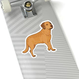 Chesapeake Bay Retriever Kiss-Cut Stickers, 4 Sizes, White or Transparent, Indoor Use, FREE Shipping, Made in USA!!