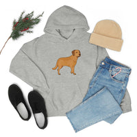 Chesapeake Bay Retriever Unisex Heavy Blend Hooded Sweatshirt, S - 5XL, 12 Colors, Cotton/Polyester, FREE Shipping, Made in Usa!!