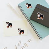 Bernese Mountain Dog Sticker Sheets, 2 Image Sizes, 3 Image Surfaces, Water Resistant Vinyl, FREE Shipping, Made in USA!!