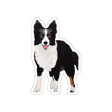 Border Collie Die-Cut Stickers, 5 Sizes, Water Resistant Vinyl, Waterproof Adhesive, Indoor/Outdoor, Matte Finish, FREE Shipping, Made in USA!!